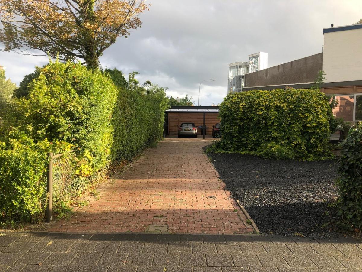 Bolton Boulevard Beach Rooms 블리싱겐 외부 사진