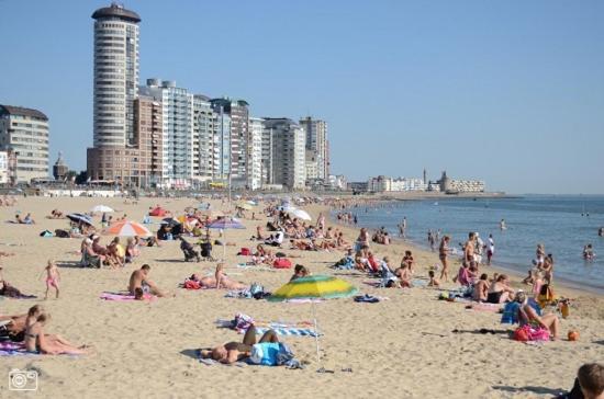 Bolton Boulevard Beach Rooms 블리싱겐 외부 사진